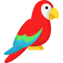 parrot